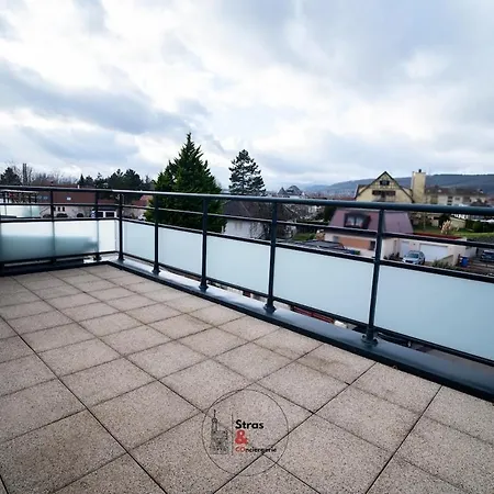 Chez Louis - F3 Vue Sur Les Vignes De * Marlenheim